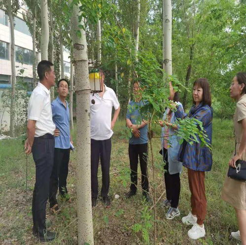 省防检总站调研阳泉市林业和草原有害生物防治检疫工作