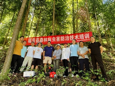 福贡县林草局举办森林病虫害防治 技术现场培训会